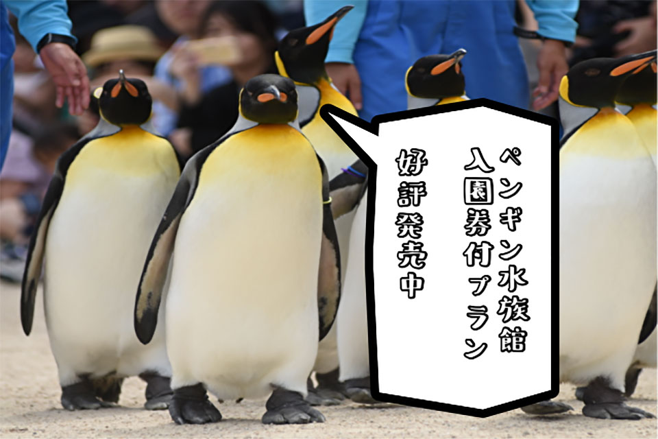 ペンギン